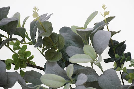 6ft. Green Lambs Ear Garland